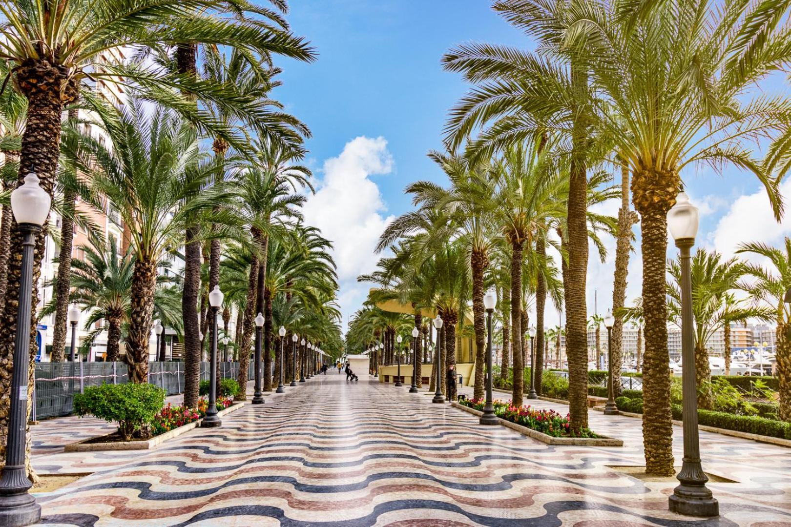 Hb Apartments - Mercado Central - Rambla Alicante - La Suite De La Playa エクステリア 写真