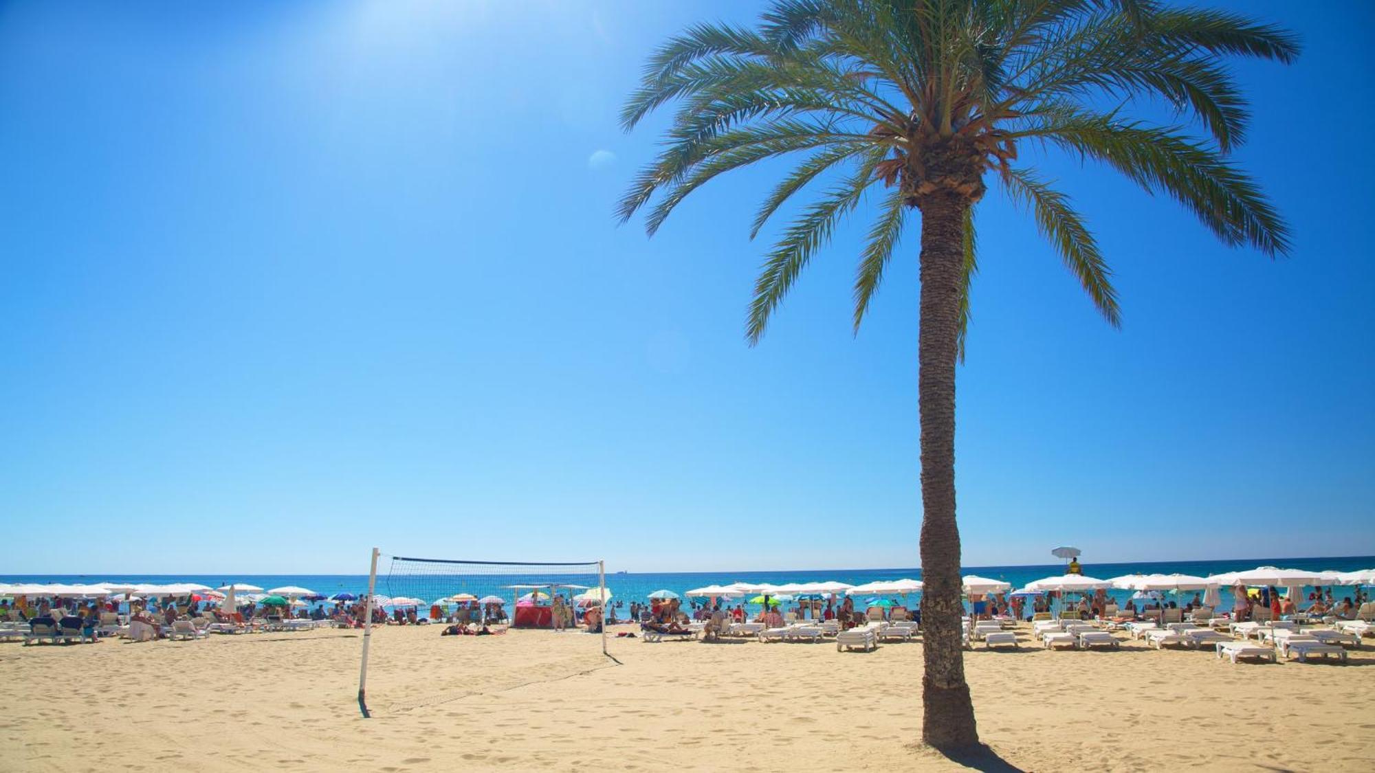 Hb Apartments - Mercado Central - Rambla Alicante - La Suite De La Playa エクステリア 写真